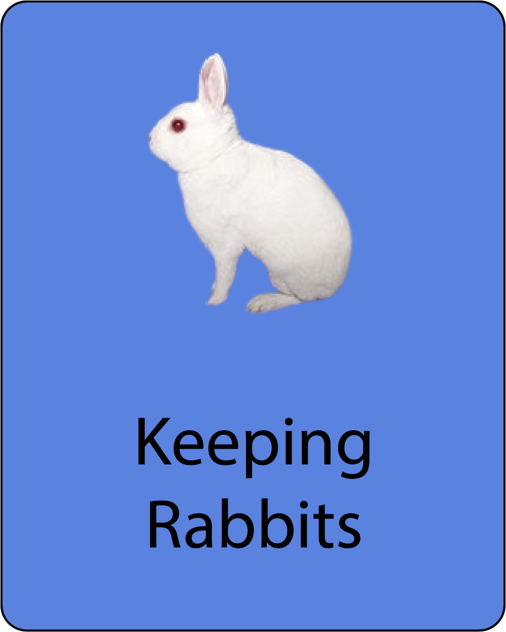 Keeping Rabbits